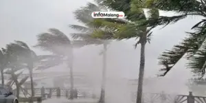 Hujan Deras dan Angin Kencang di Wagir Malang Sebabkan Pemadaman Listrik dan Kerusakan Rumah Warga