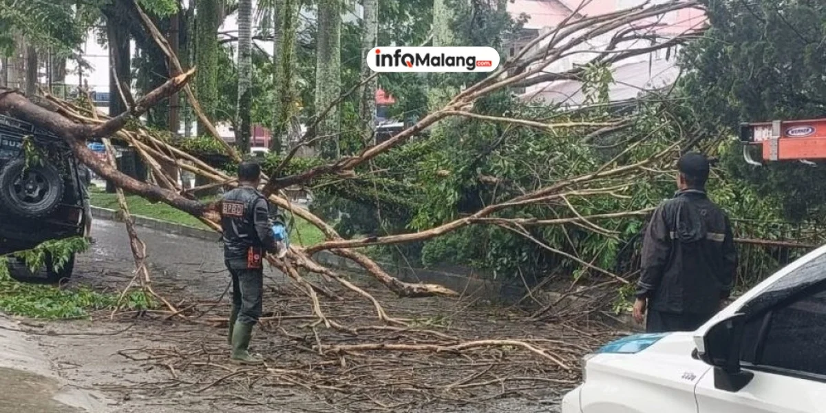 Hujan Disertai Angin Kencang, Pohon Tumbang di Pakisaji
