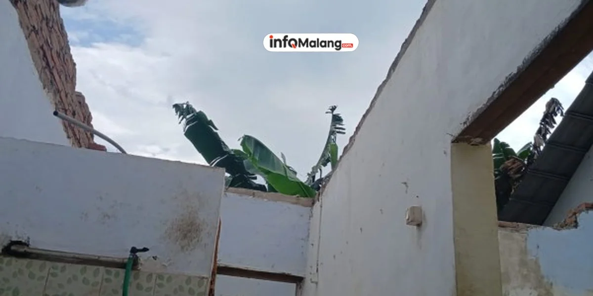 Hujan Lebat dan Angin Kencang di Wagir Sebabkan Pohon Tumbang dan Kandang Ayam Roboh