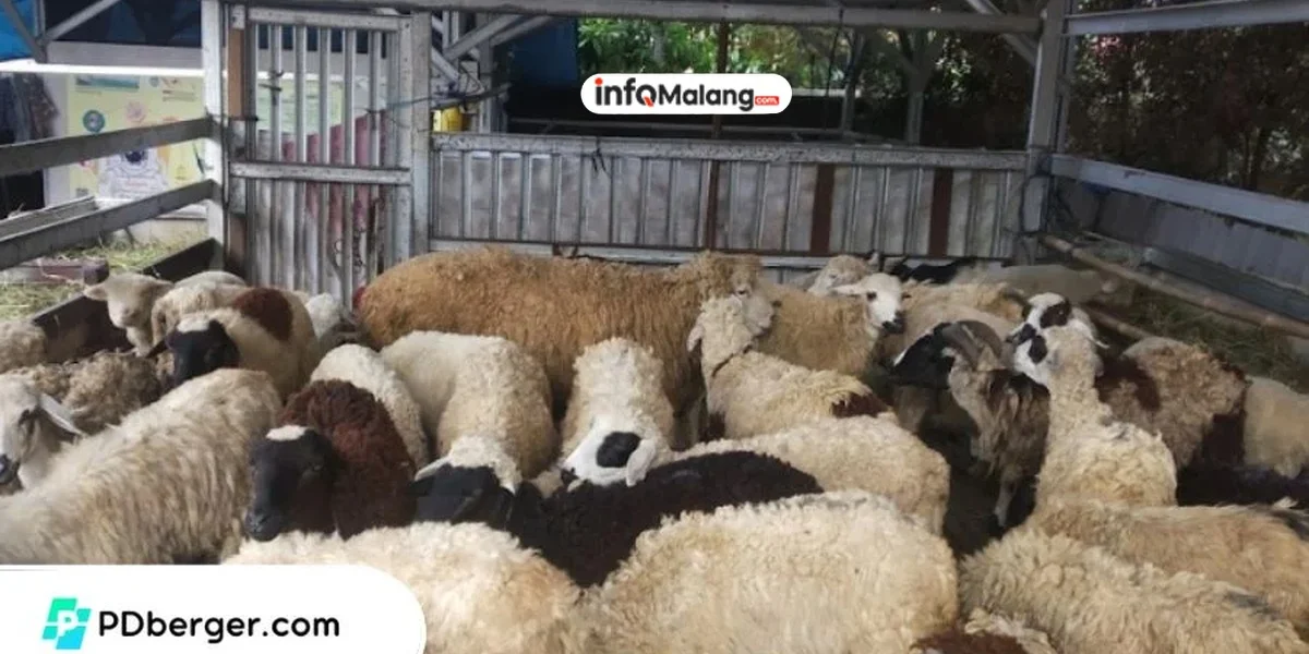 Ibalibul Catering Dapatkan Nilai Plus dari Masyarakat Kota Malang Berkat Program Peduli Posyandu