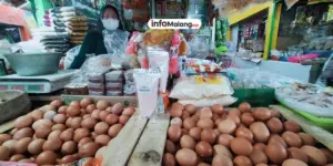 Inflasi Kota Malang Juli 2025 Naik, Pendidikan dan Pangan Jadi Faktor Utama