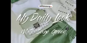 Ini Dia Kombinasi Warna Hijau Sage yang Wajib Anda Coba!