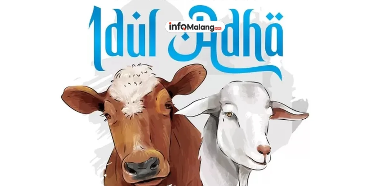 Inilah Sunnah Sebelum Idul Adha yang Dianjurkan Umat Islam