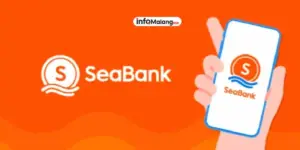 Inilah Tahap-tahap Cara Aktifkan Seabank Pinjaman: Solusi Keuangan Cepat dan Praktis