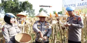 Jaga Ketahanan Pangan, Kolaborasi Polri dan Kementan Panen Raya Jagung di Malang 2025