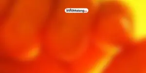 Jambret Kilat di Kota Malang, Gelang Emas dan Giok Jadi Sasaran