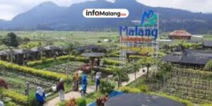 Jauh dari Hiruk Pikuk, 7 Desa Wisata Malang Terbaik untuk Staycation dan Healing dengan View Pegunungan