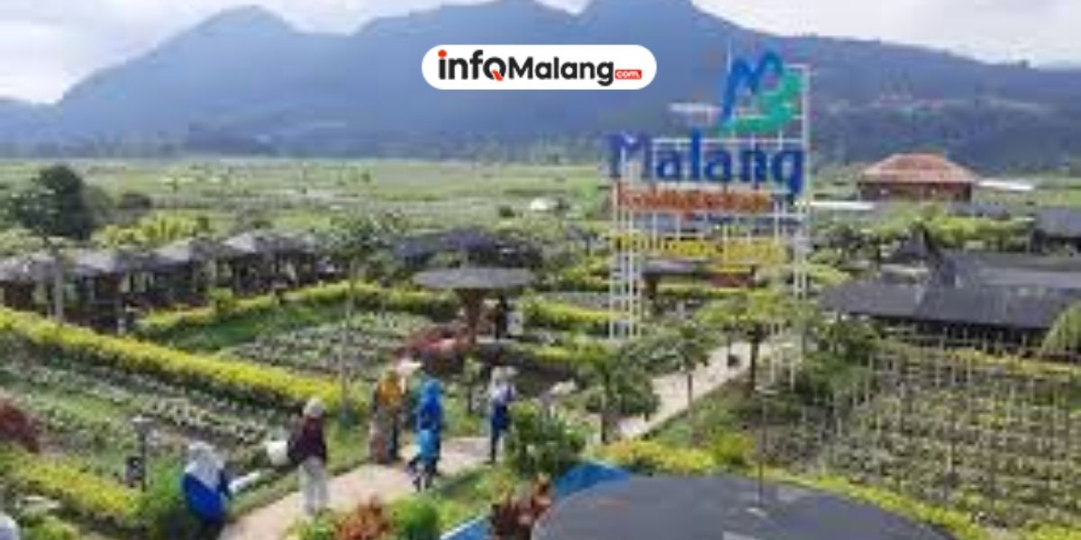 Jauh dari Hiruk Pikuk, 7 Desa Wisata Malang Terbaik untuk Staycation dan Healing dengan View Pegunungan