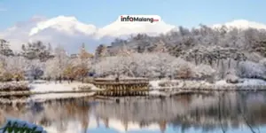 Jelang Liburan Akhir Tahun, Siapkan Hal Ini Agar Liburan Anda Worry Free