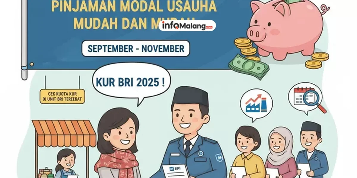 KUR Tembus Rp 300 Triliun di 2025? Jutaan UMKM Bakal Untung Besar!