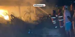 Kebakaran Hanguskan Kandang Ayam di Malang, 30 Ribu Ekor Mati Terpanggang Kerugian Capai Miliaran Rupiah