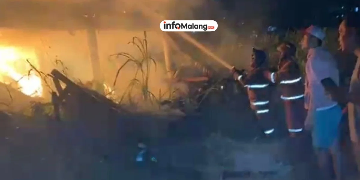 Kebakaran Hanguskan Kandang Ayam di Malang, 30 Ribu Ekor Mati Terpanggang Kerugian Capai Miliaran Rupiah