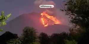 Kebakaran Hutan Gunung Geger di Kabupaten Malang, 6,5 Hektare Lahan Terbakar