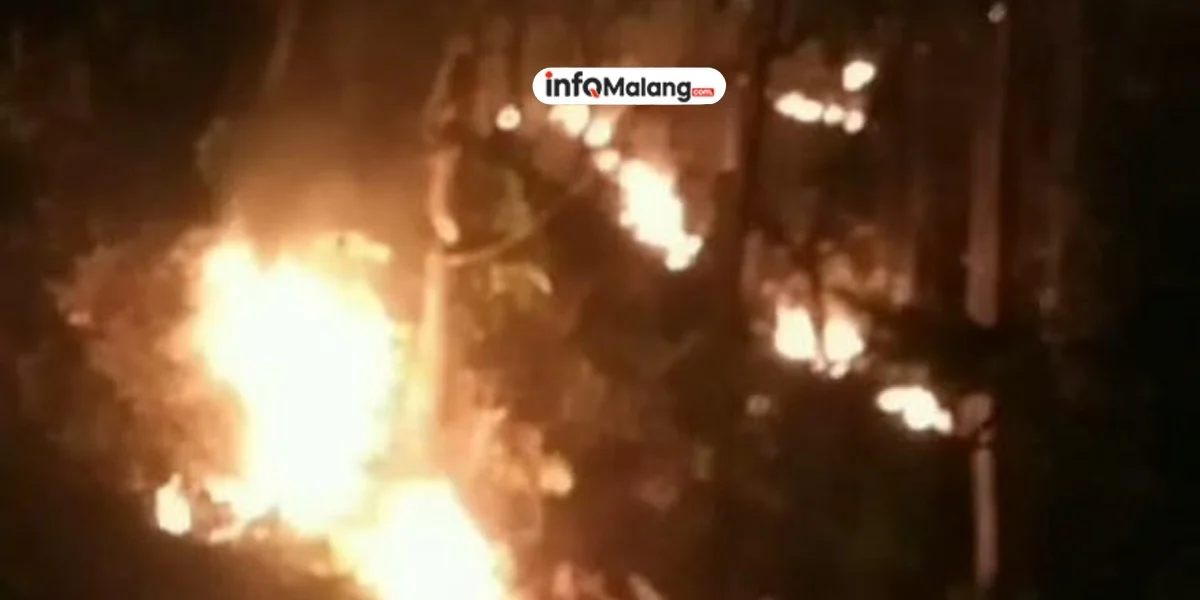 Kebakaran Hutan Jati Gunung Geger Hanguskan 4,5 Hektare Lahan di Malang