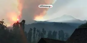 Kebakaran Hutan di Gunung Argopuro, Jalur Pendakian Ditutup Sementara