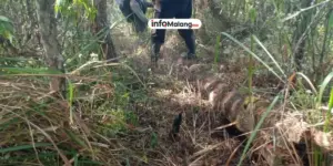 Kebakaran Hutan di Gunung Panderman Malang Hanguskan 5 Hektare Lahan