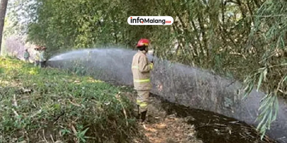 Kebakaran Lahan Bambu di Pakis, Diduga Akibat dari Pembakaran Sampah