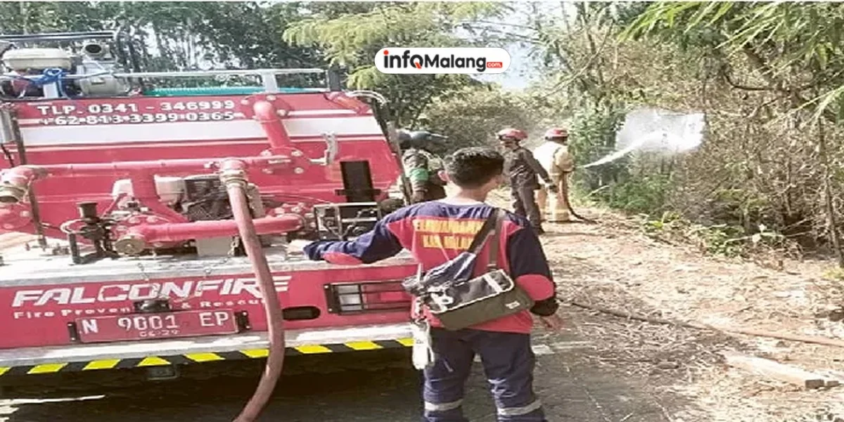 Kebakaran Lahan di Kabupaten Malang Meningkat, Kelalaian Manusia Jadi Penyebab Utama