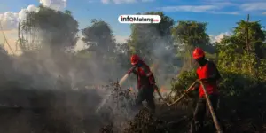 Kebakaran Masih Terjadi di Kabupaten Malang Meski Musim Hujan, Damkar Catat Dua Kasus pada Januari 2024