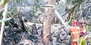 Kebakaran Satu Hektare Lahan Bambu di Kabupaten Malang Akibat Pembakaran Sampah