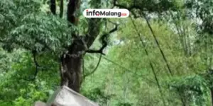 Kecelakaan Truk Tangki 7.500 Liter di Pacet Warga Sebut Rem Blong Jadi Pemicu