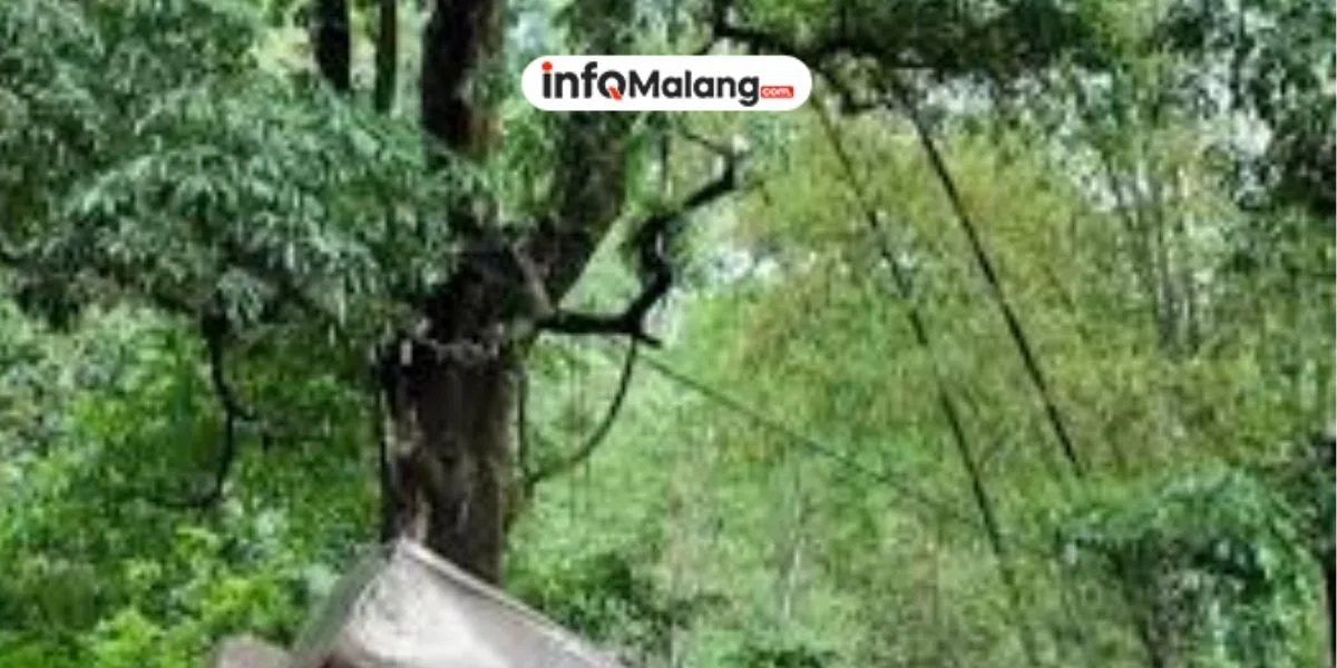 Kecelakaan Truk Tangki 7.500 Liter di Pacet Warga Sebut Rem Blong Jadi Pemicu