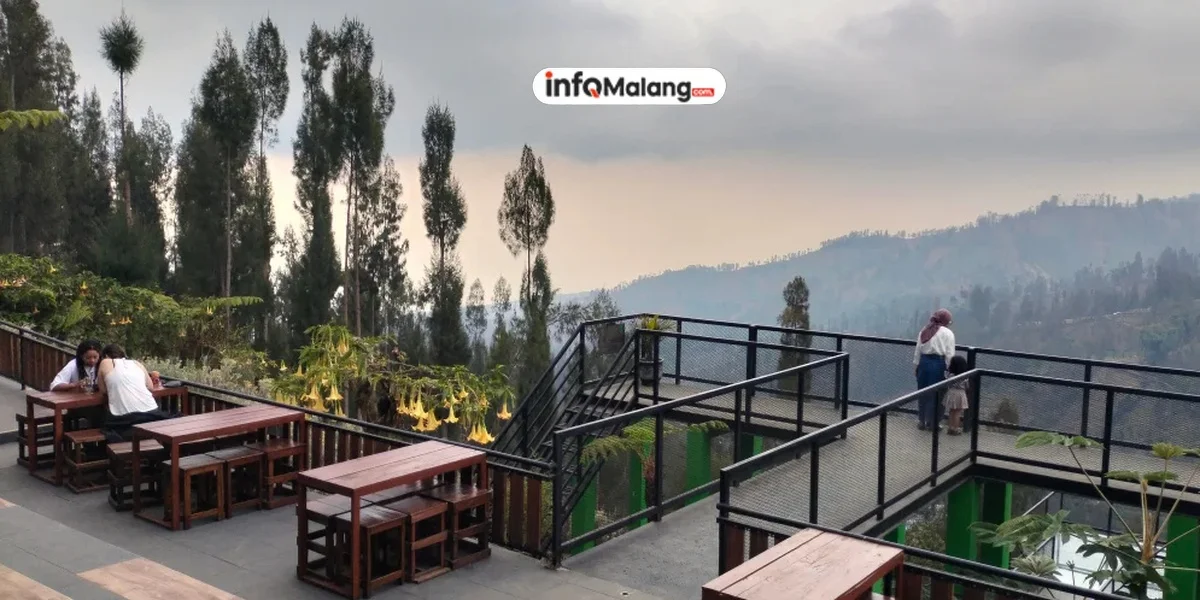 Keindahan Taman Edelweiss Gunung Bromo