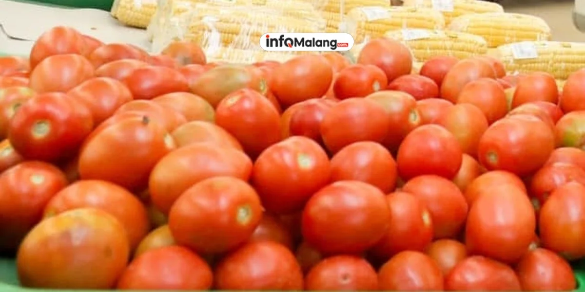 Kenaikan Harga Tomat Dorong Inflasi di Kota Malang
