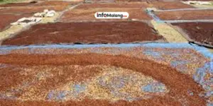 Kepala Sekolah Tampar Siswa di Banten, 630 Murid SMAN 1 Cimarga Gelar Aksi Mogok