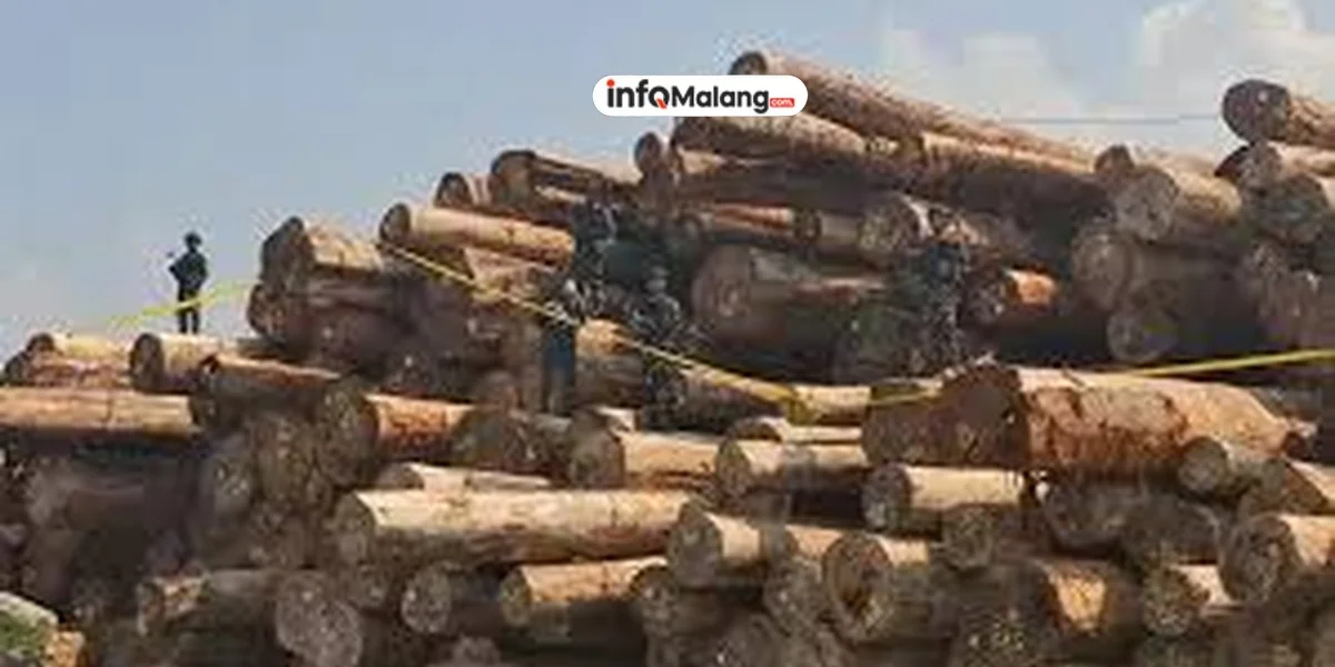 Keringanan Pajak Properti Diperpanjang hingga 2027, Pasar Real Estate Diprediksi Makin Tumbuh