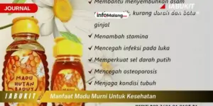 Khasiat Madu dan Manfaatnya untuk Kesehatan Tubuh