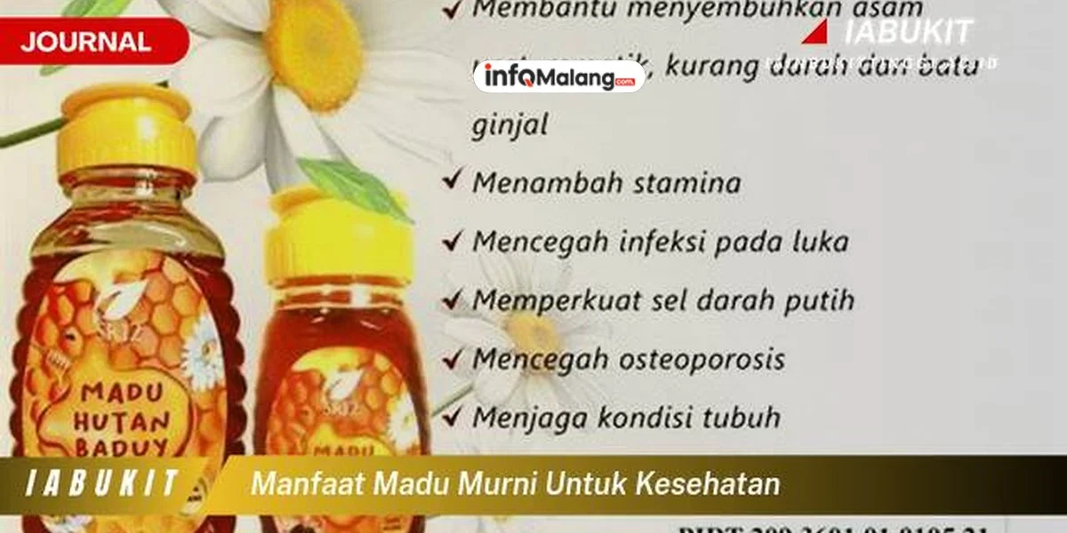 Khasiat Madu dan Manfaatnya untuk Kesehatan Tubuh