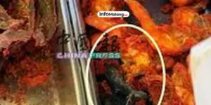 Kios Nasi Campur di Penang Heboh Usai Tikus Goreng Ditemukan Bercampur Ayam Tepung