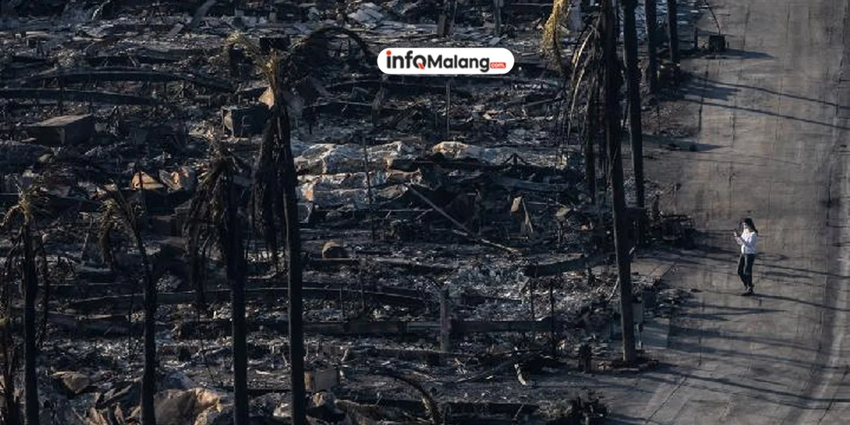 Kisah Pria yang Menyelamatkan Rumahnya dari Kebakaran Los Angeles