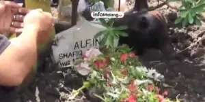 Korban Pengeroyokan PSHT di Karangploso Meninggal Dunia