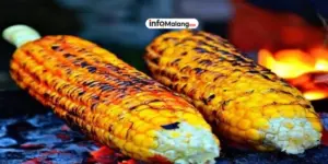 Kuliner Malam Malang: Kedai Jagung Bakar dan STMJ Wajib Coba