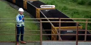 Laba Bukit Asam Anjlok! Apa Penyebabnya?