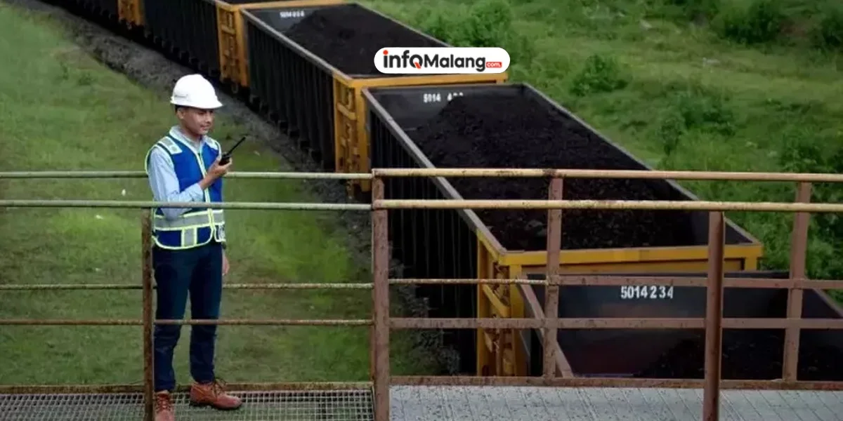 Laba Bukit Asam Anjlok! Apa Penyebabnya?