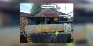 Laba Tugu Insurance Melonjak Tajam! Rahasianya?