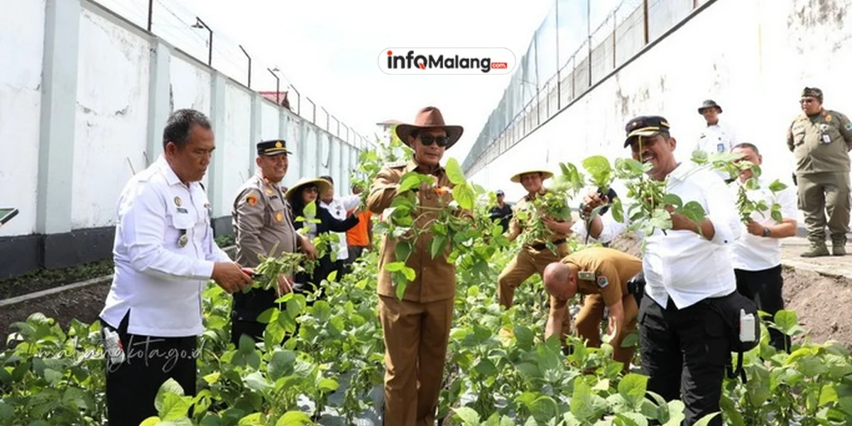 Lapas Malang Hasilkan Edamame dari Lahan Brandgang