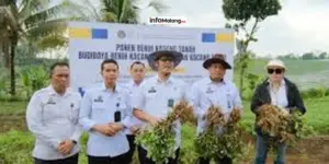 Lapas Malang Kembangkan Pertanian Produktif Lewat Panen Perdana Kacang Tanah