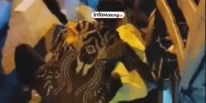 Mahasiswa PTN Malang Tewas dalam Kecelakaan Maut di Jalur Selatan Pasuruan