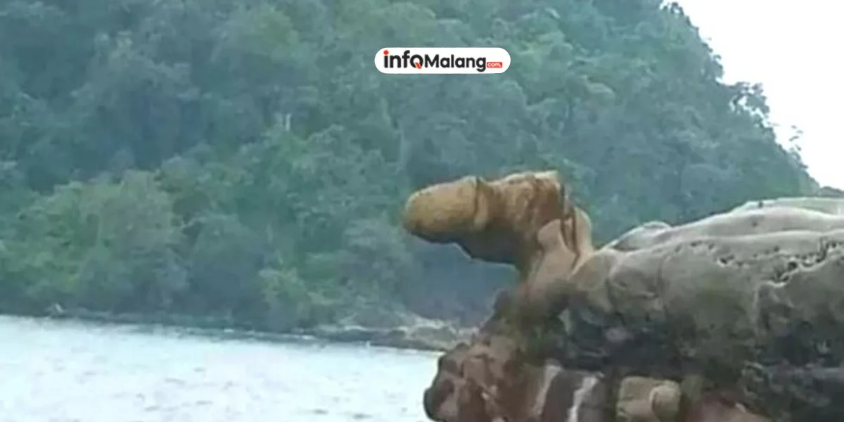 Main Sungai, Dapat Harta Karun Miliaran! Kisah Nyata di Kalimantan!