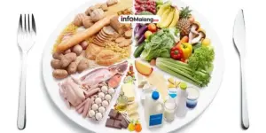 Makanan Sehat dan Bergizi untuk Gaya Hidup Seimbang