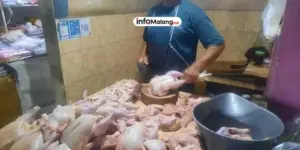 Makanan dan Minuman Jadi Pemicu Inflasi Kota Malang di November 2024