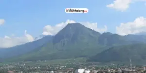 Malang Raya: 3 Gunung & Bukit Tektok Seru, Tanpa Nginap!
