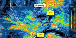 Malang Raya dan Mojokerto Berpotensi Angin Kencang Tembus 50 Km/Jam Peringatan Dini BMKG