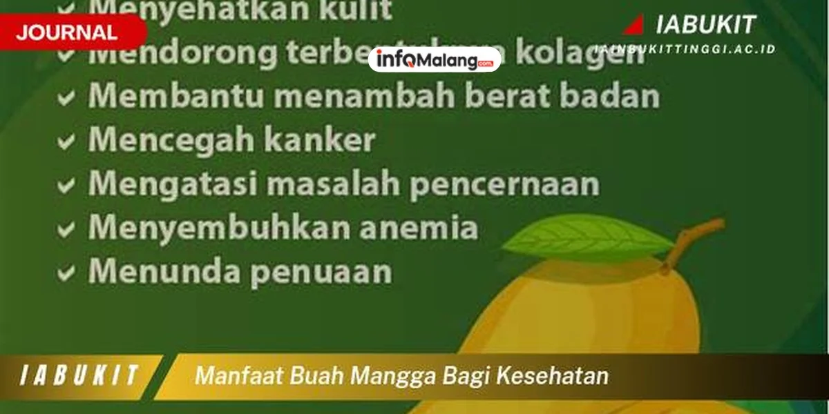 Manfaat Buah Mangga Bagi Kesehatan dan Kandungan Gizinya
