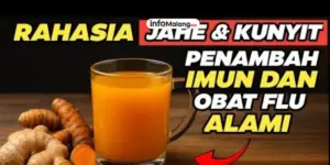 Manfaat Jahe untuk Kesehatan Pencernaan dan Penguat Sistem Imun Tubuh