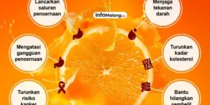 Manfaat Jeruk untuk Kesehatan Jantung dan Kulit